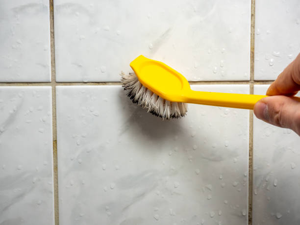 Best Mold Testing and Inspection Services in Forest City, FL